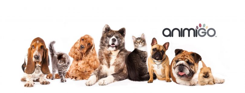 118765954 648134085828765 4404043513852787444 n