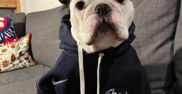 123625174 3506368769429238 5308690636595337519 N