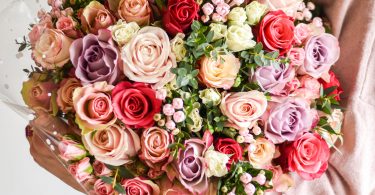 162236657 5188381441203602 5081251179535599 n