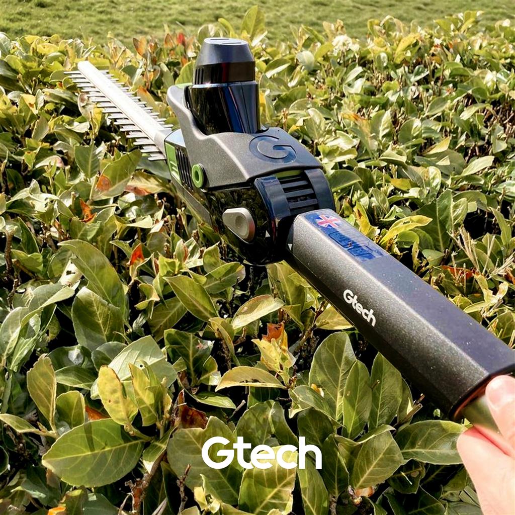 183218313 4315830898482729 4704786791047404042 N