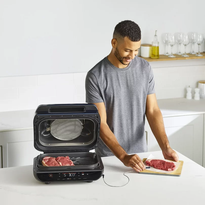 Ninja AG551UKDB unit with model probe steak raw