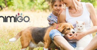 217962224 4420707591283310 5691009380417660949 n