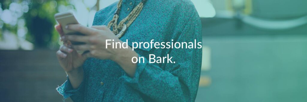 26232989 1632498643482936 5198281376021937039 O