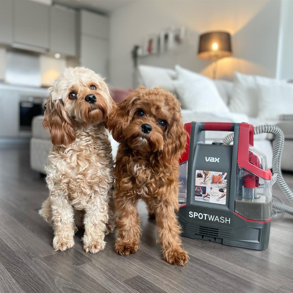 275931585 4846851458765666 8313307091004837025 N