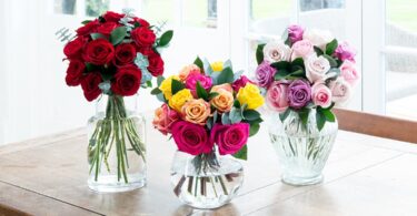 294847426 431281292347729 7527598639725624303 N