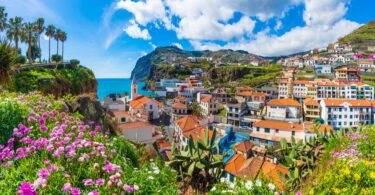 301398479 6253639801329326 8542119382268168547 N