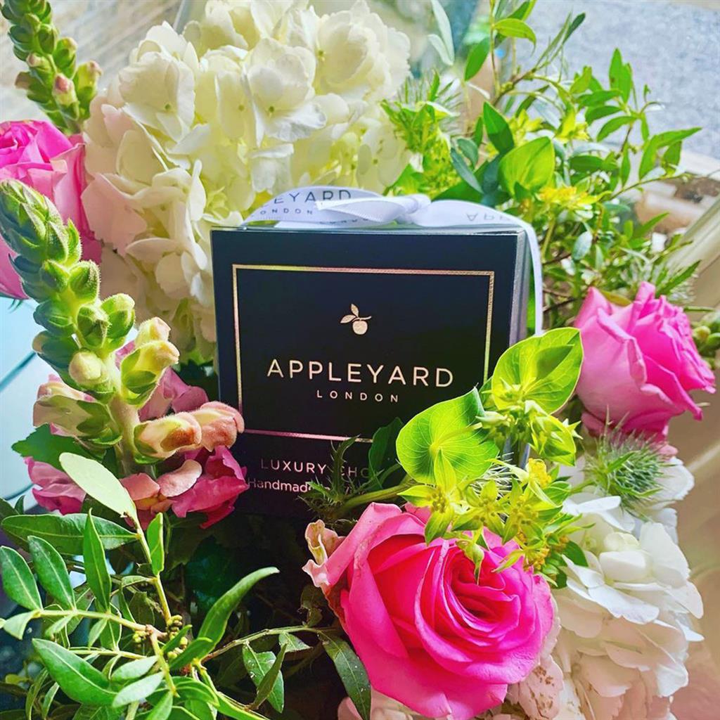 301474745 2214553218713901 3676590497335698880 N