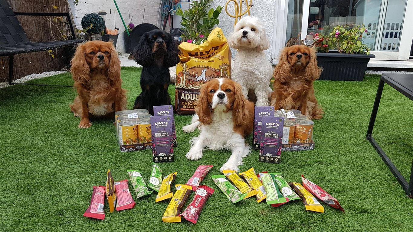 30729060 10155578624348505 8695913575748730880 N