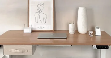 323285018 2037333603130231 3956888198852056120 N 1024x773