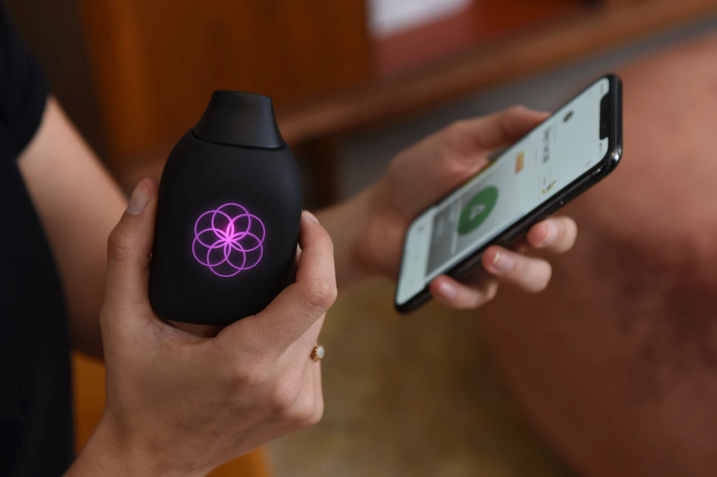 35403109 819951188195060 5127343073340162048 N