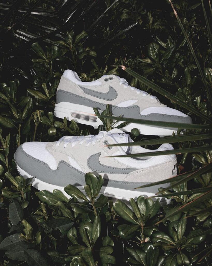 356112526 661827349318644 5140979429918216499 N