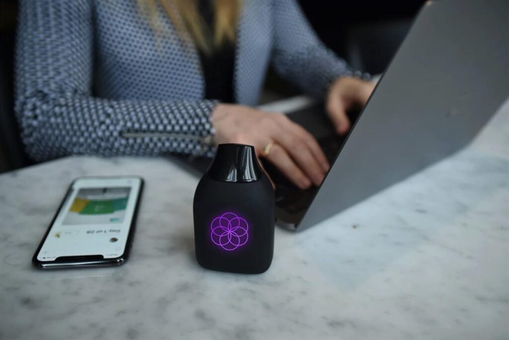 36177040 826770597513119 1420433972134936576 N