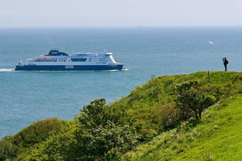 365239510 680073874156906 942572696553666806 n