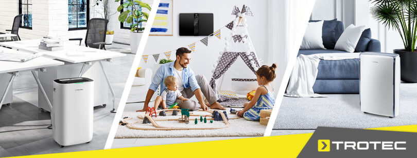 369648318 683207173849573 732231319447777003 N (1)