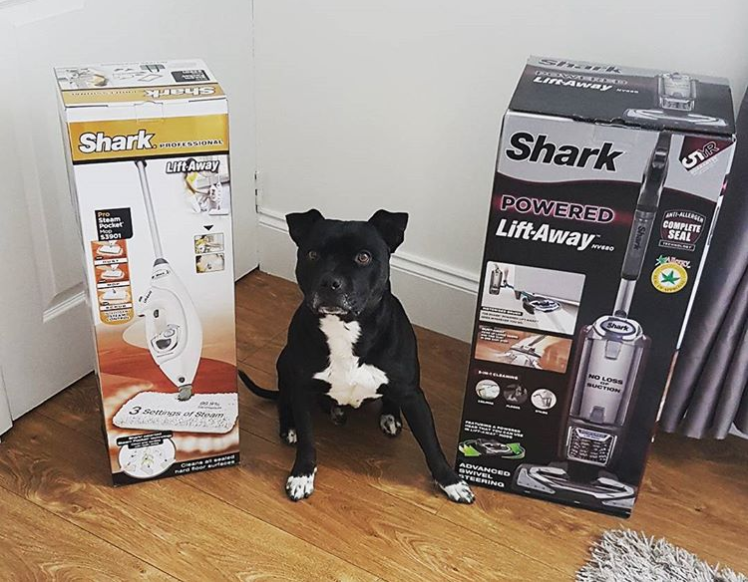 37742686 851076291755891 7938602084302061568 N