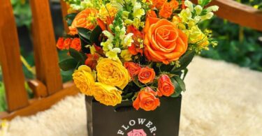 383806686 703497165149277 8846005364858592834 n