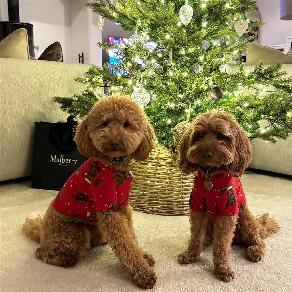 413973747 18300177730120017 2936215818746632675 N