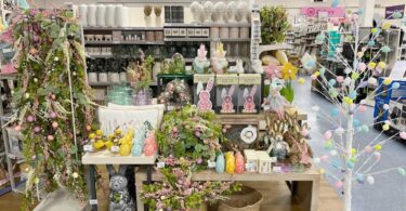 432856886 827135752781118 5066185789301589105 N