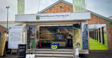 Onpaste.20241128 042625