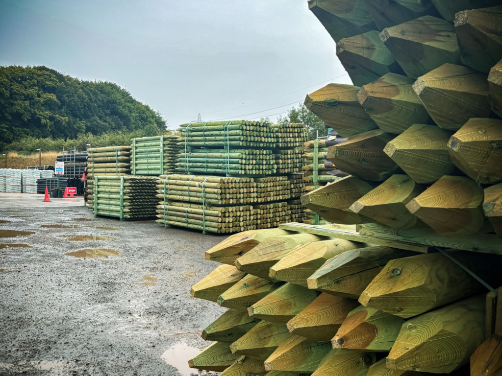 Onpaste.20241128 042711