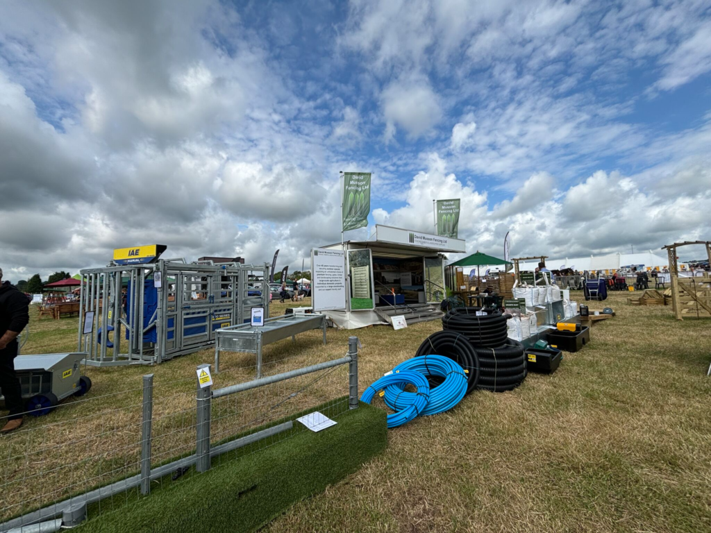 Onpaste.20241128 042743