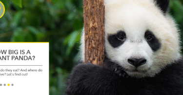 Screenshot 2025 08 18 084212