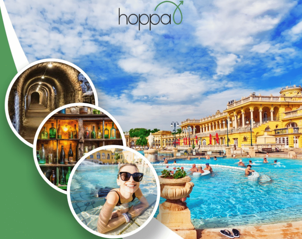 Screenshot 2025 11 20