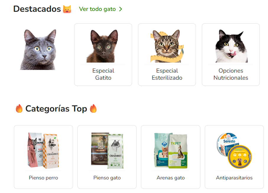 Screenshot 2026 03 05