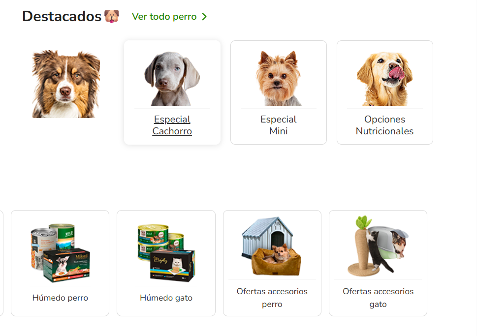 Screenshot 2026 03 05