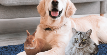 Screenshot 2026 03 05