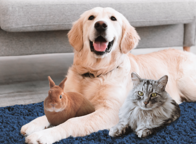 Screenshot 2026 03 05