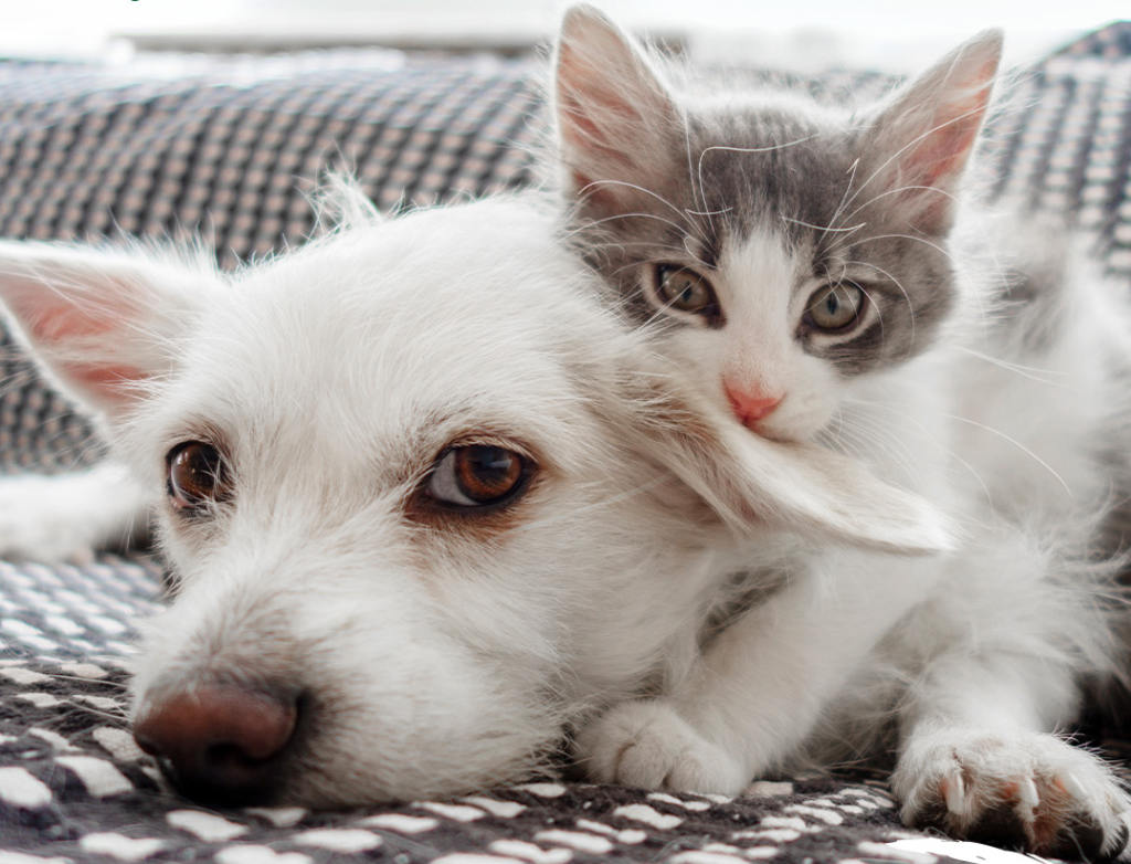 Screenshot 2026 03 05