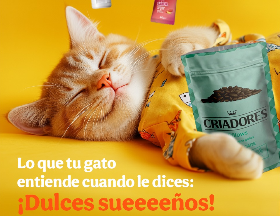 Screenshot 2026 03 05