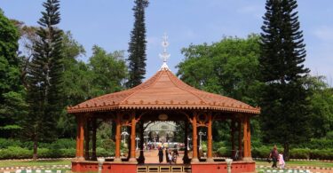 When it comes to transforming your backyard into a personal paradise, SUNJOY is leading the way with innovative outdoor solutions that combine style, strength, and simplicity. With over two decades of experience and more than 10 million gazebos sold across North America, SUNJOY has become a trusted name for those seeking to elevate their outdoor lifestyle. Whether you're building a cozy corner for summer nights or adding functional elegance with a gazebo or carport, SUNJOY delivers—every time.