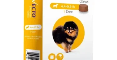 Petcare 1746005864000