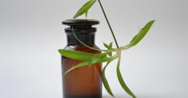 Releaf has quickly become a recognised name in the growing world of natural wellness, offering simple, effective and plant-powered solutions designed to support the demands of modern life. As people search for gentle alternatives to manage stress, discomfort and everyday tension, the brand has positioned itself as a trustworthy source of relief rooted in nature and backed by thoughtful formulation. This article explores how Releaf built its identity, what makes its approach unique and why it continues to resonate with individuals seeking balance and wellbeing.